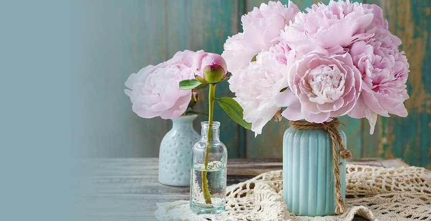 Peony Vastu Tips
